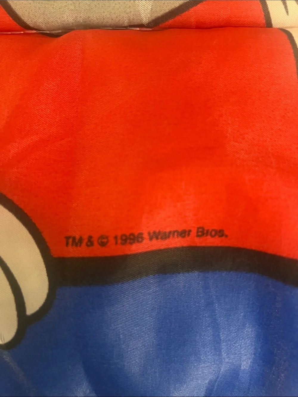 Vintage 90s Space Jam Sleeping Bag‎